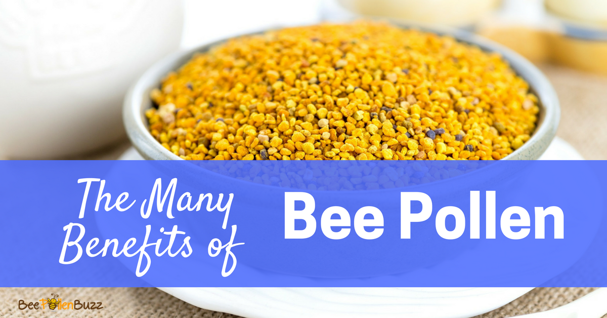 Bee pollen benefits you ask?  Get the truth from the beekeeper's daughter at Bee Pollen Buzz.com, the internet's leading site on bee pollen.