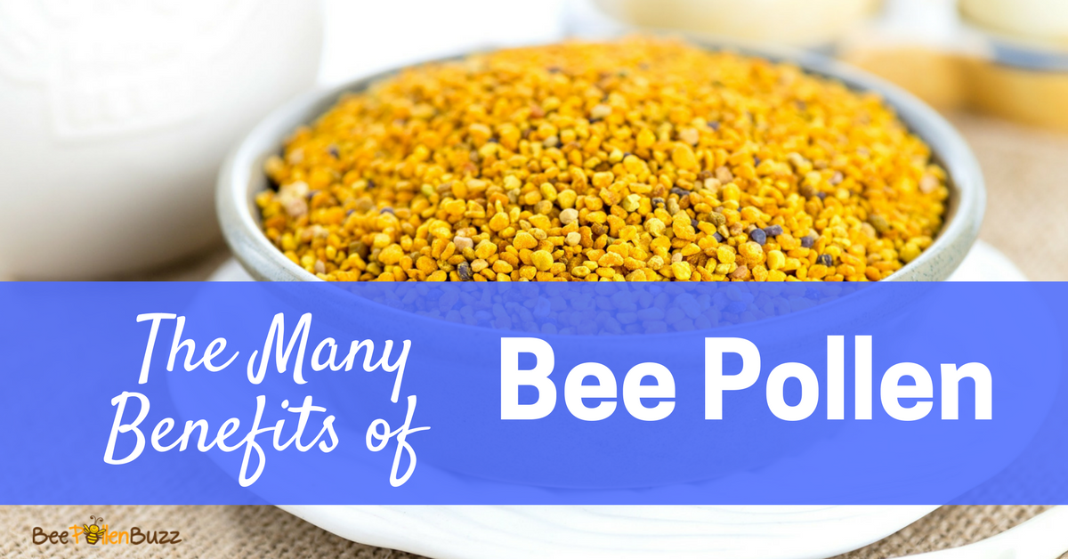 7 Benefits of Bee Pollen - What Are the Benefits of Bee Pollen