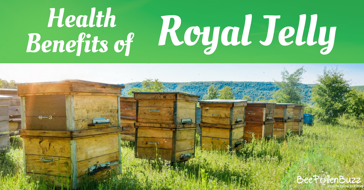 Royal Jelly: Benefits, Uses, Side Effects, and More