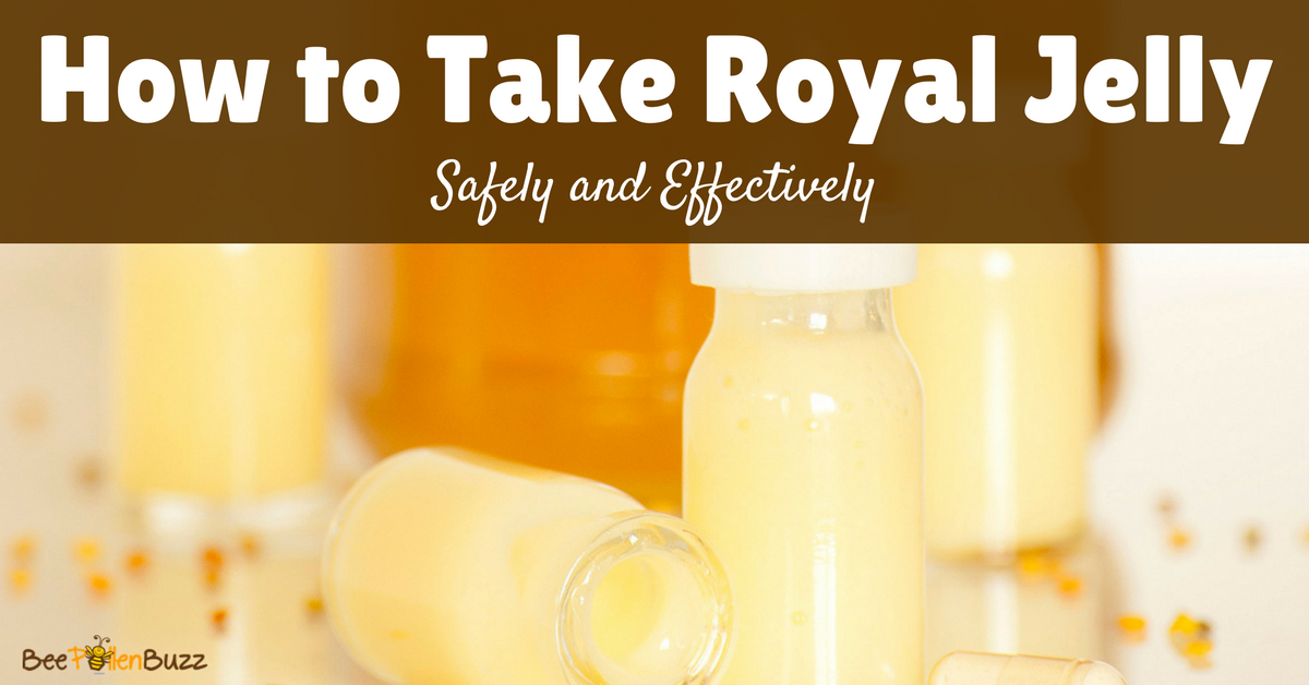 Royal Jelly Powder | Royal Jelly Dosage - Bee Buzz Royal Jelly Powder | Royal Jelly Dosage - Bee Buzz