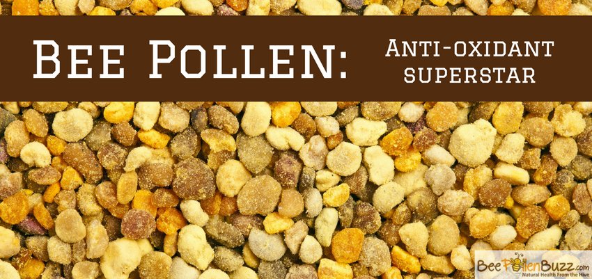 Get the complete list of bee pollen health benefits from one of the largest bee pollen sites in the world!