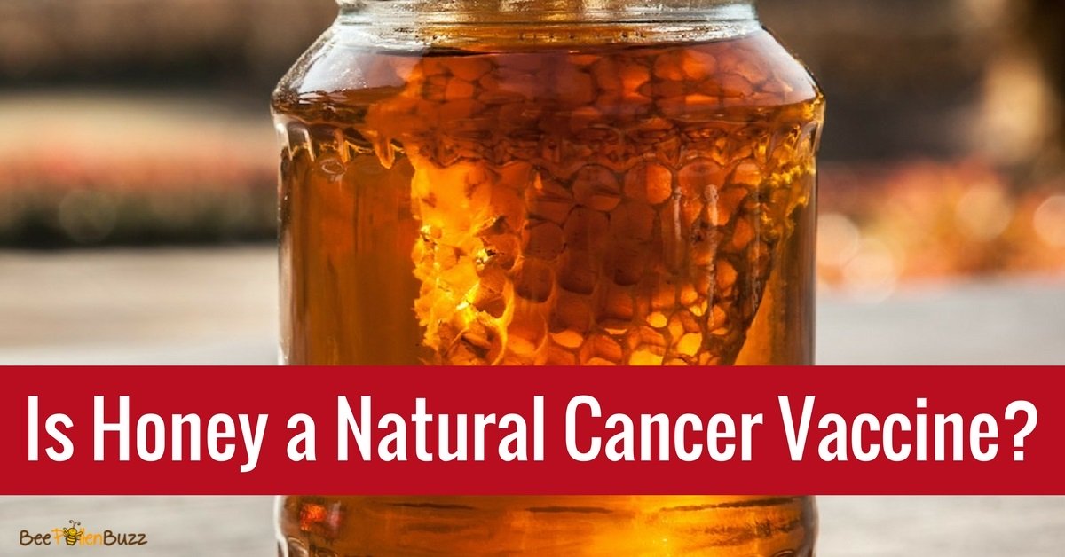 Cancer rates are rising rapidly.   Honey has recently shown to have anti-cancer properties in animals.   Could it be a natural cancer vaccine?