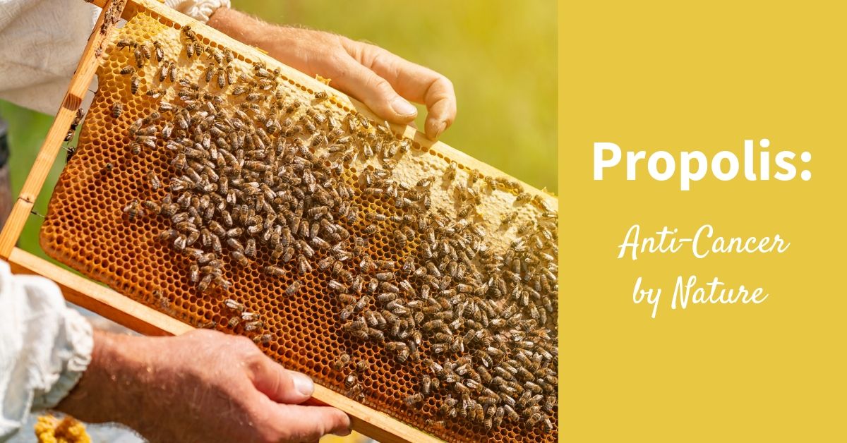 Propolis boosts anti-cancer therapies in recent study!  Read more at Bee Pollen Buzz.