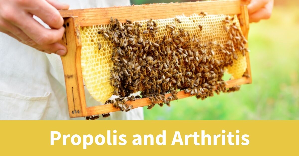 Arthritis got you down? The bees have a solution and scientists are now beginning to discover how propolis may be a viable treatment option. 