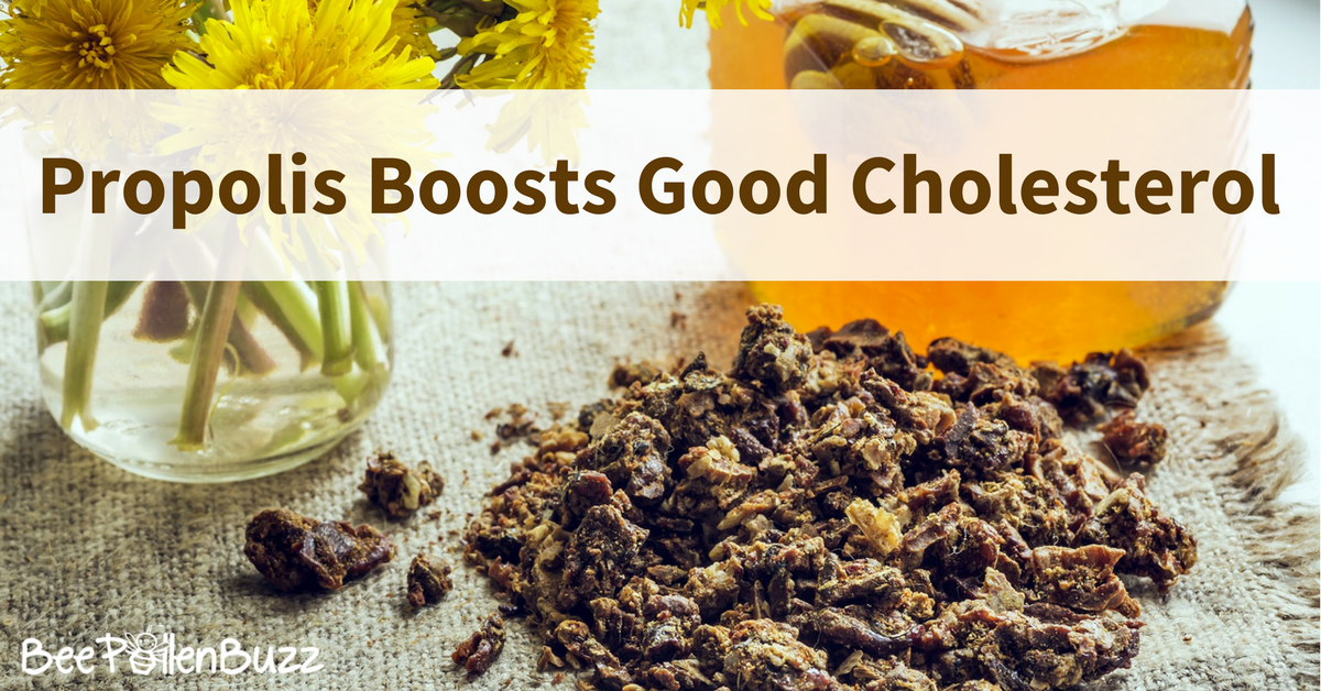 A recent study revealed that Propolis Boosts Good Cholesterol!  Read more about propolis and how it can benefit you here.