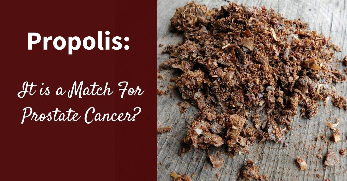 Several recent studies have revealed Propolis' potential as an alternative therapy for prostate cancer.