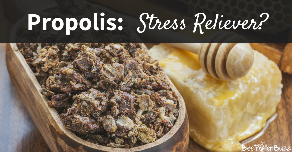 Besides being anti-viral and a powerful anti-oxidant, a recent study has shown that Propolis reduces anxiety and stress!   