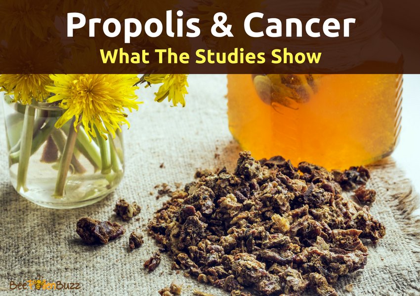 Bee propolis now has dozens of studies indicating anti-cancer potential.   Learn more here.