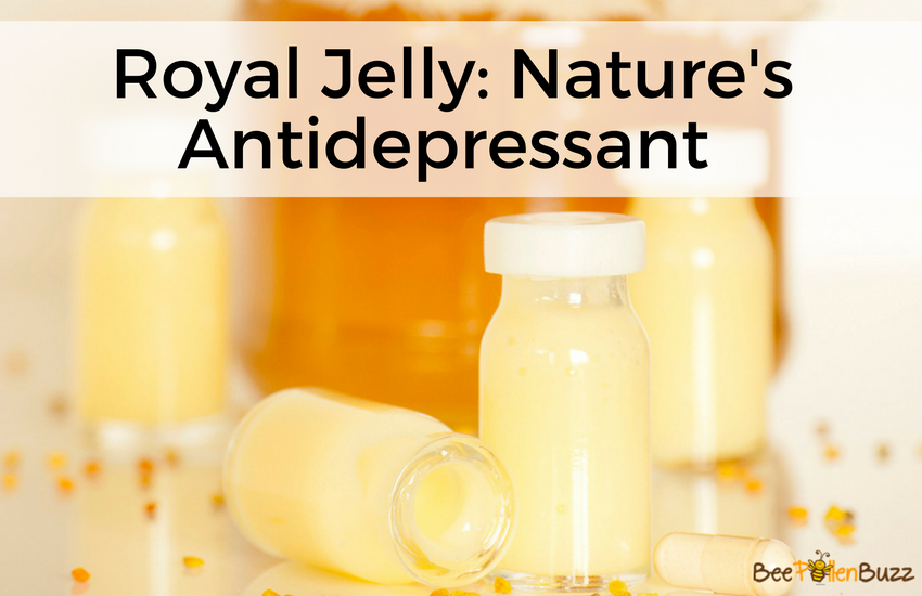According to recent research, Royal Jelly may help treat depression and anxiety.